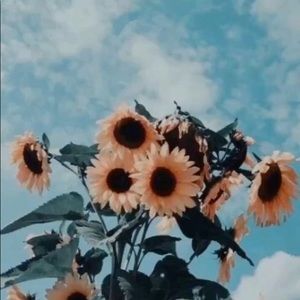 Meet your Posher, Alysa